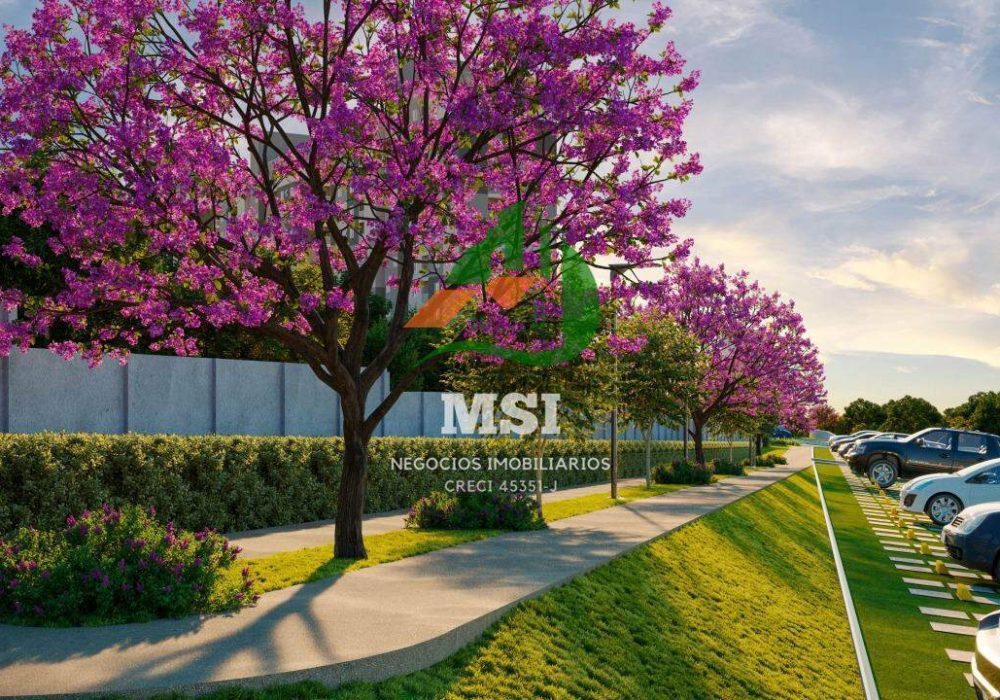 blpt7-perspectiva-pista-caminhada-sandiego-hd-copy-scaled-1780329603